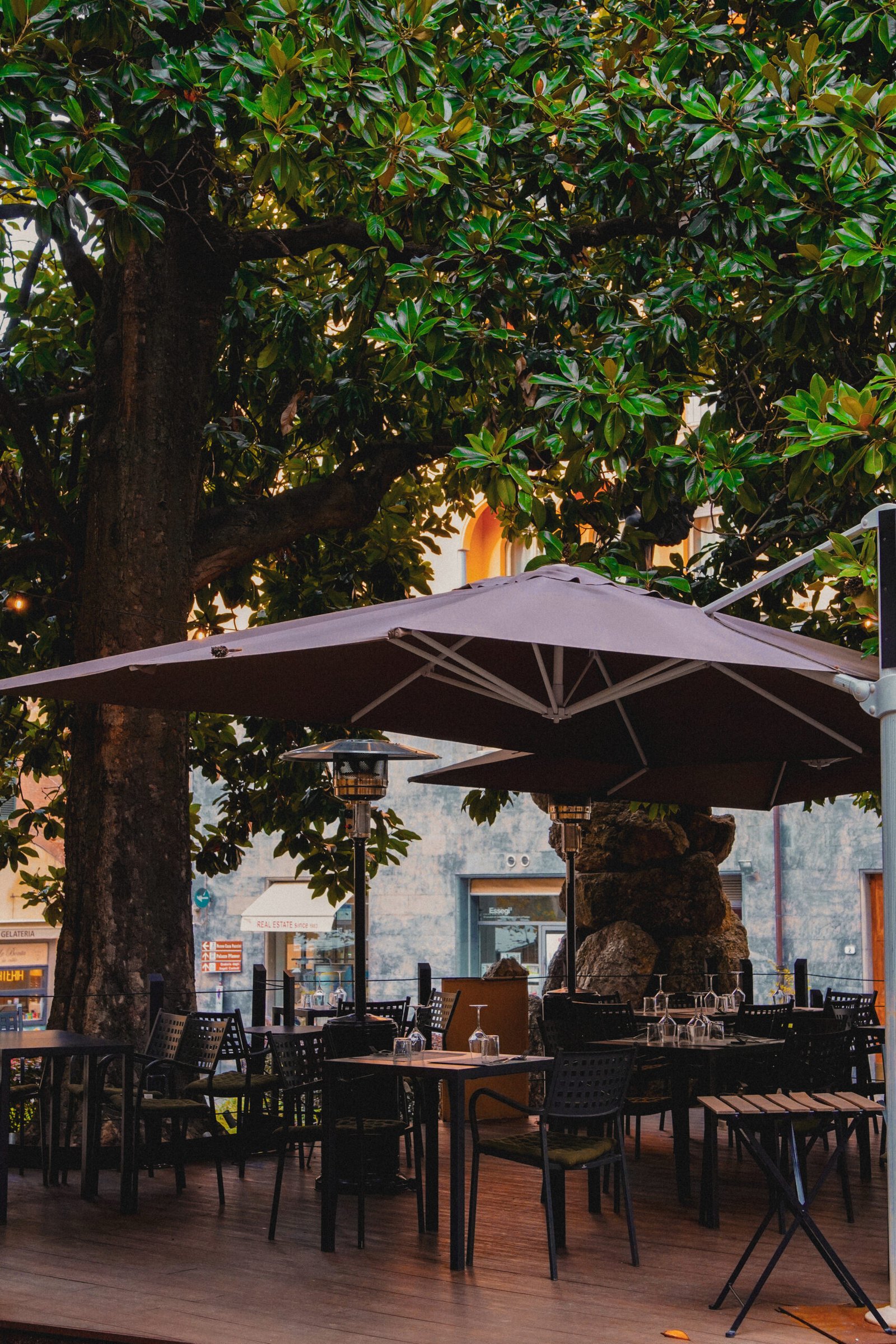 Pedana esterna di Elkano sotto le magnolie nel centro di Lucca