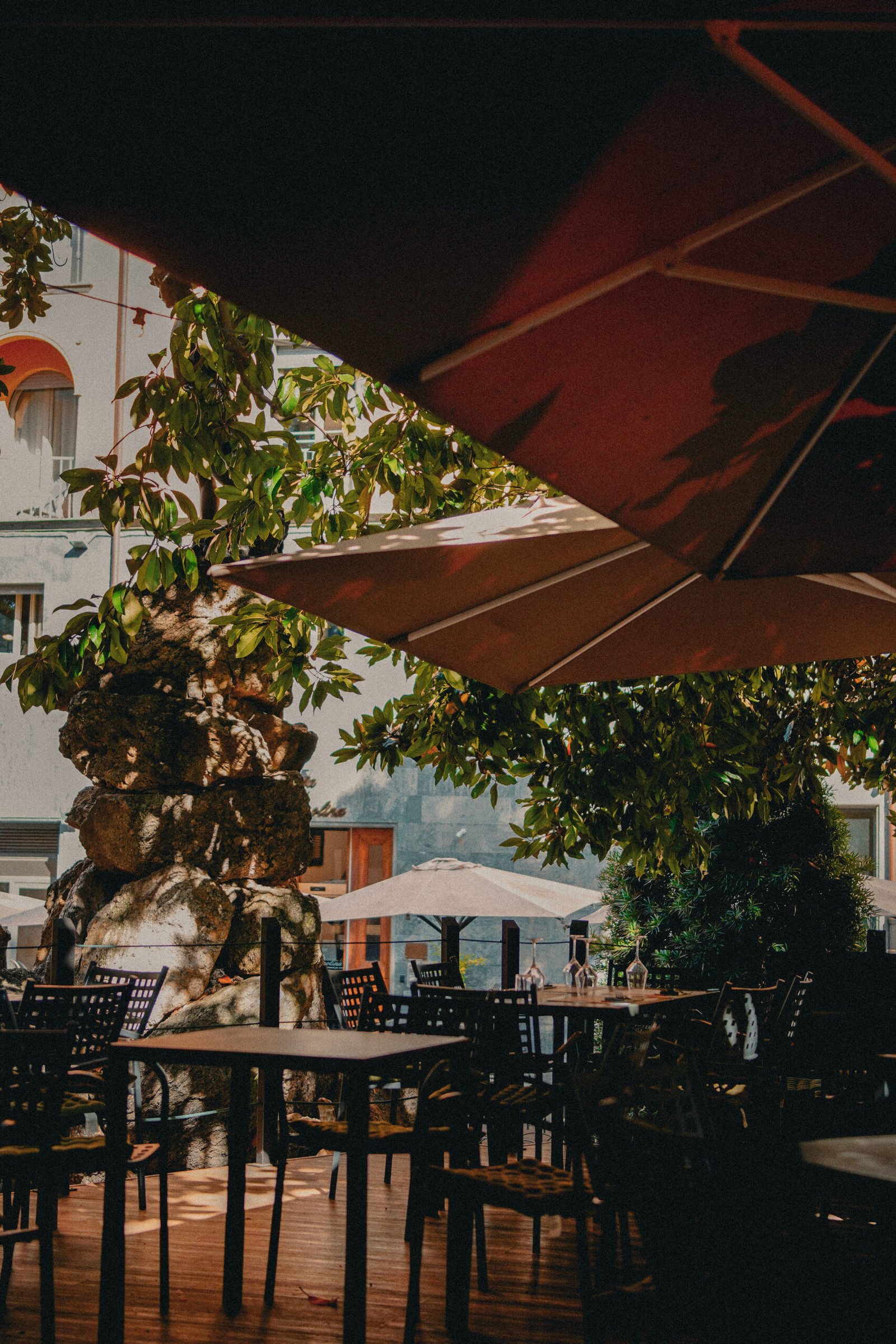 Pedana esterna di Elkano sotto le magnolie nel centro di Lucca